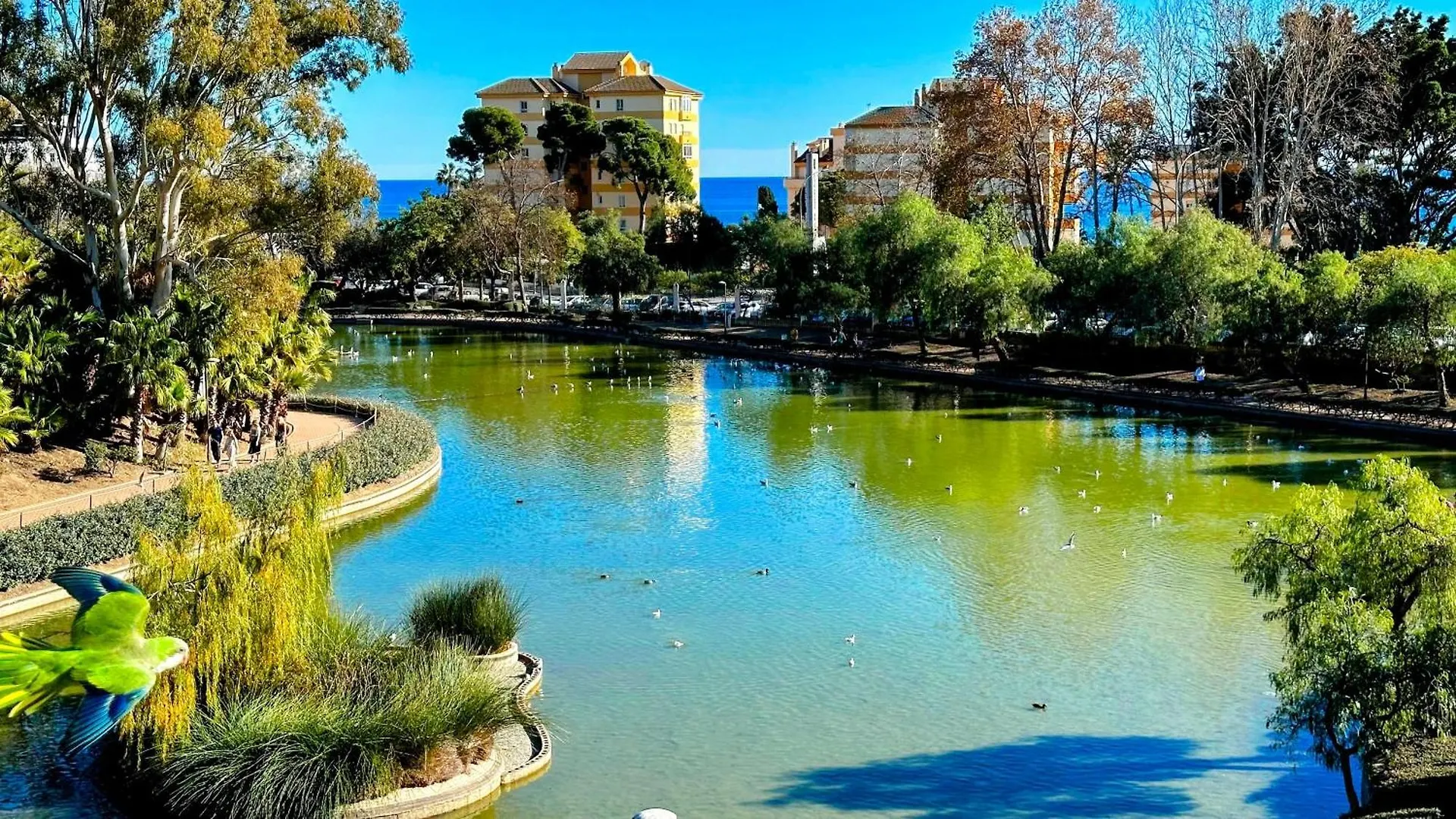 Estudio Francisco Agata Benalmadena